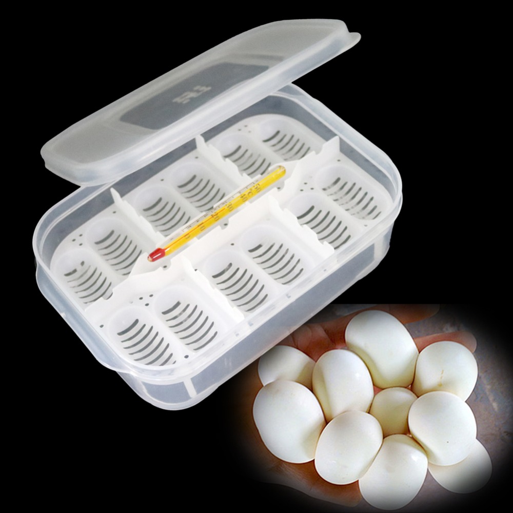 12 Holes Reptile E-gg Incubation Tray Gecko Lizard Snake E-ggs Incubation Tool Insect keeping box