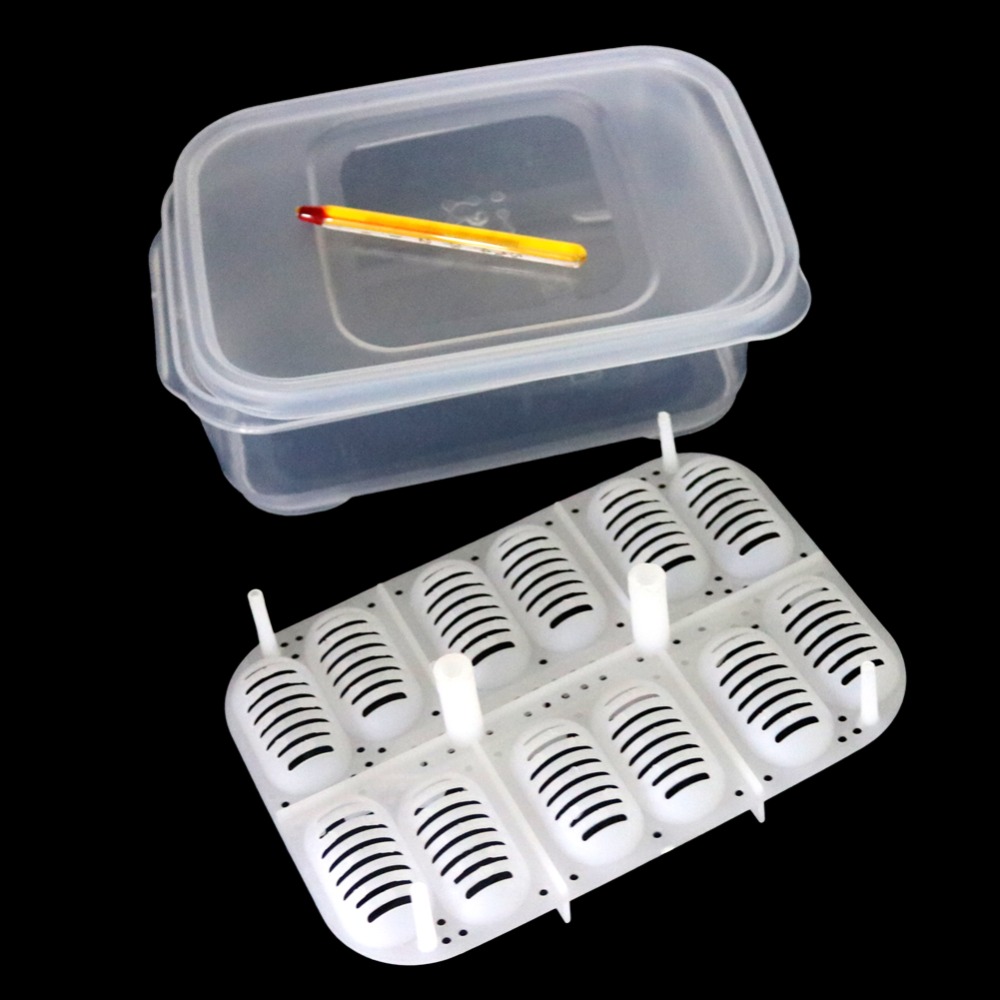 12 Holes Reptile E-gg Incubation Tray Gecko Lizard Snake E-ggs Incubation Tool Insect keeping box 4